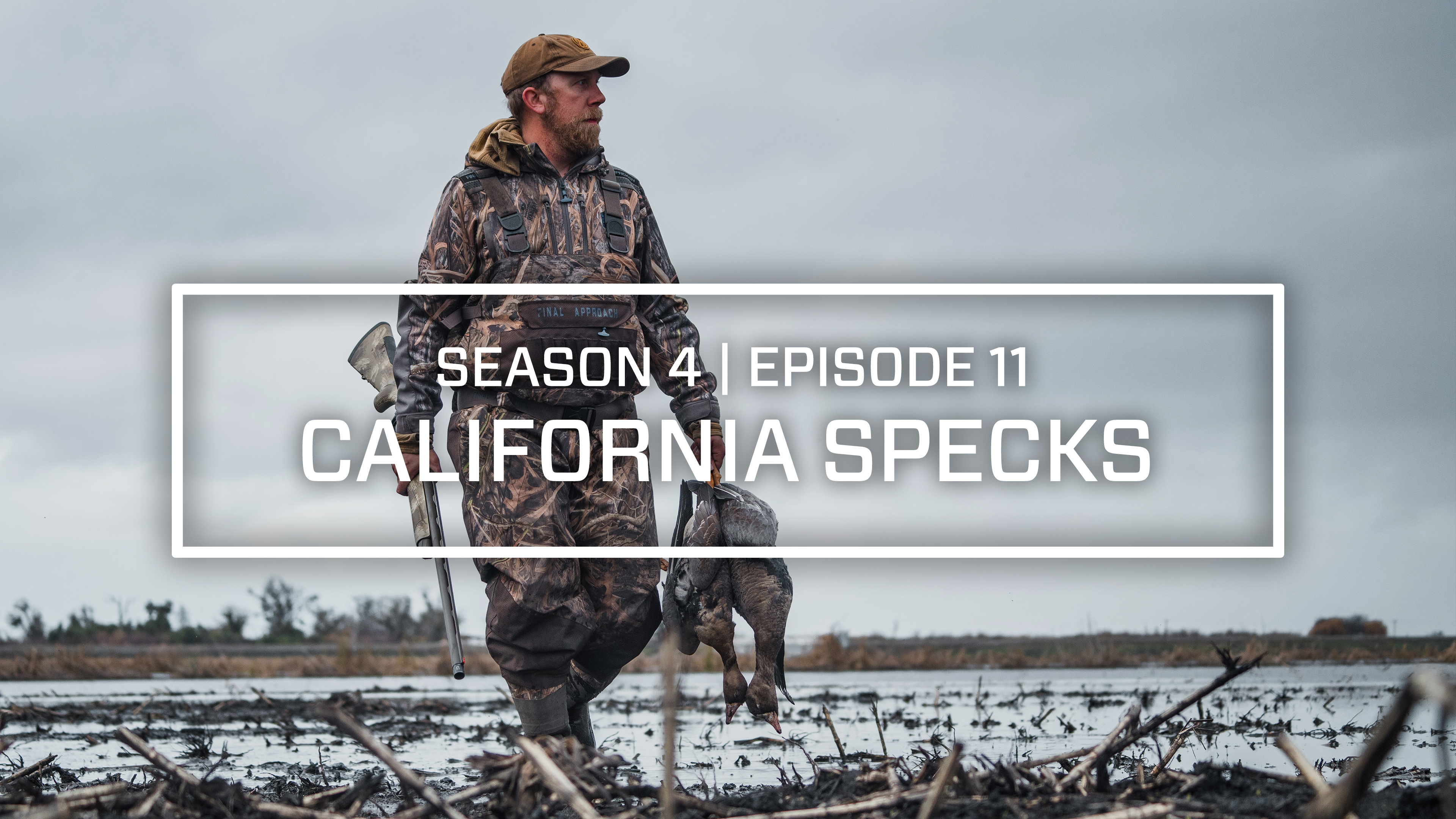Last Pass Episode 11 • California Specks
