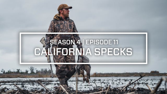 Last Pass Episode 11 • California Specks