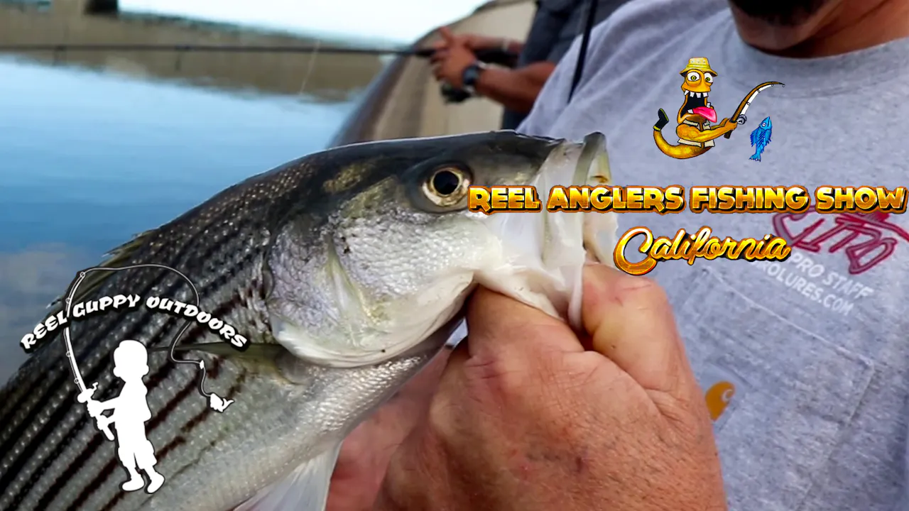Striper Fishing in Bakersfield Aqueduct • Reel Anglers Fishing Show ...