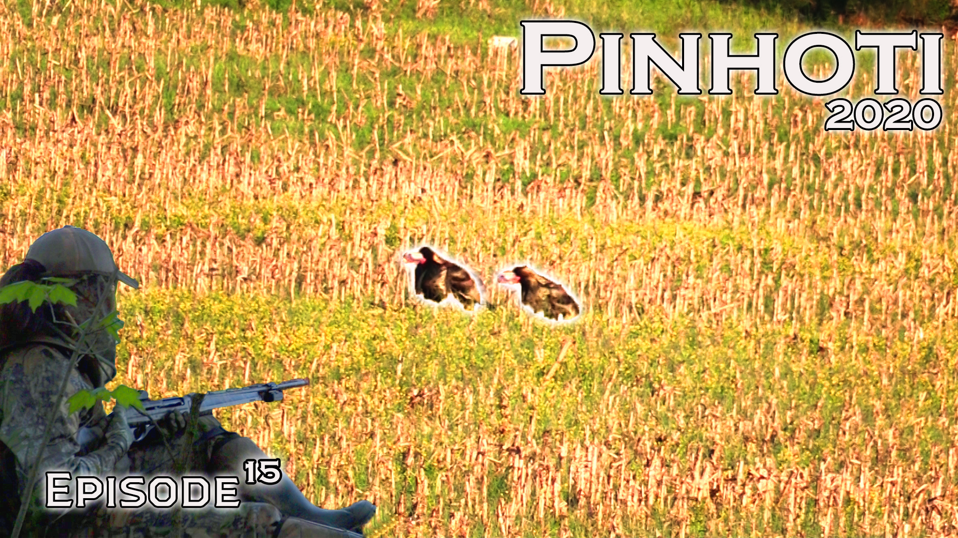 Pinhoti 2020 Ep 15 • Pinhoti Project