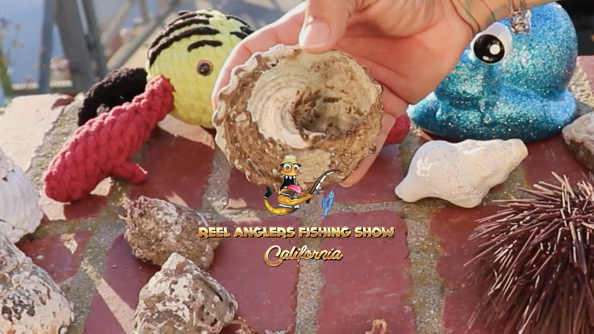 Coastal Critters - Hoop There It Is • Reel Anglers Fishing Show California