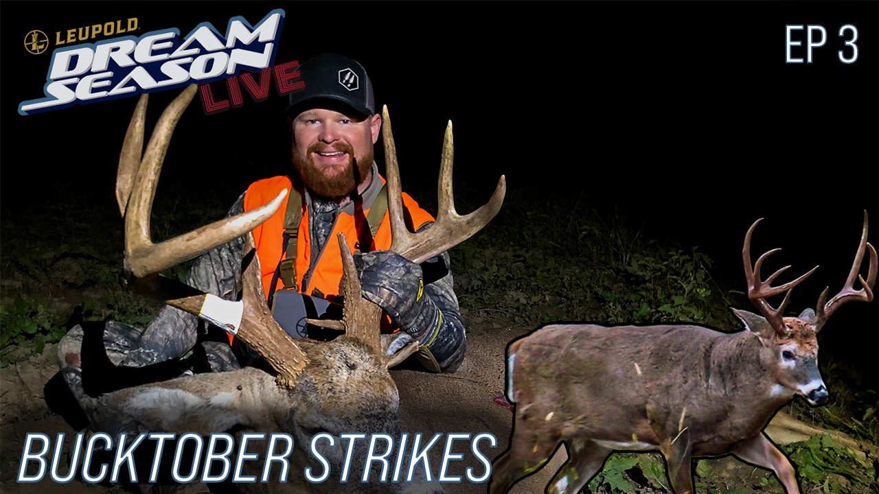 Bucktober Strikes, Blake's Hammer 8 • Dream Season Live