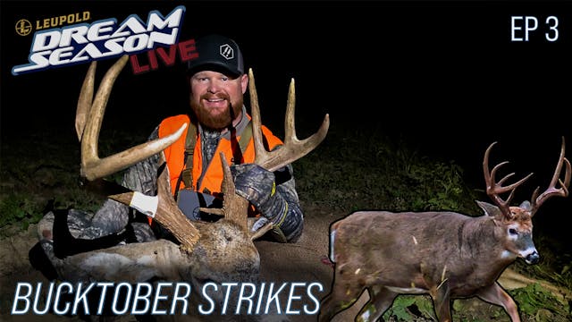 Bucktober Strikes, Blake's Hammer 8 •...