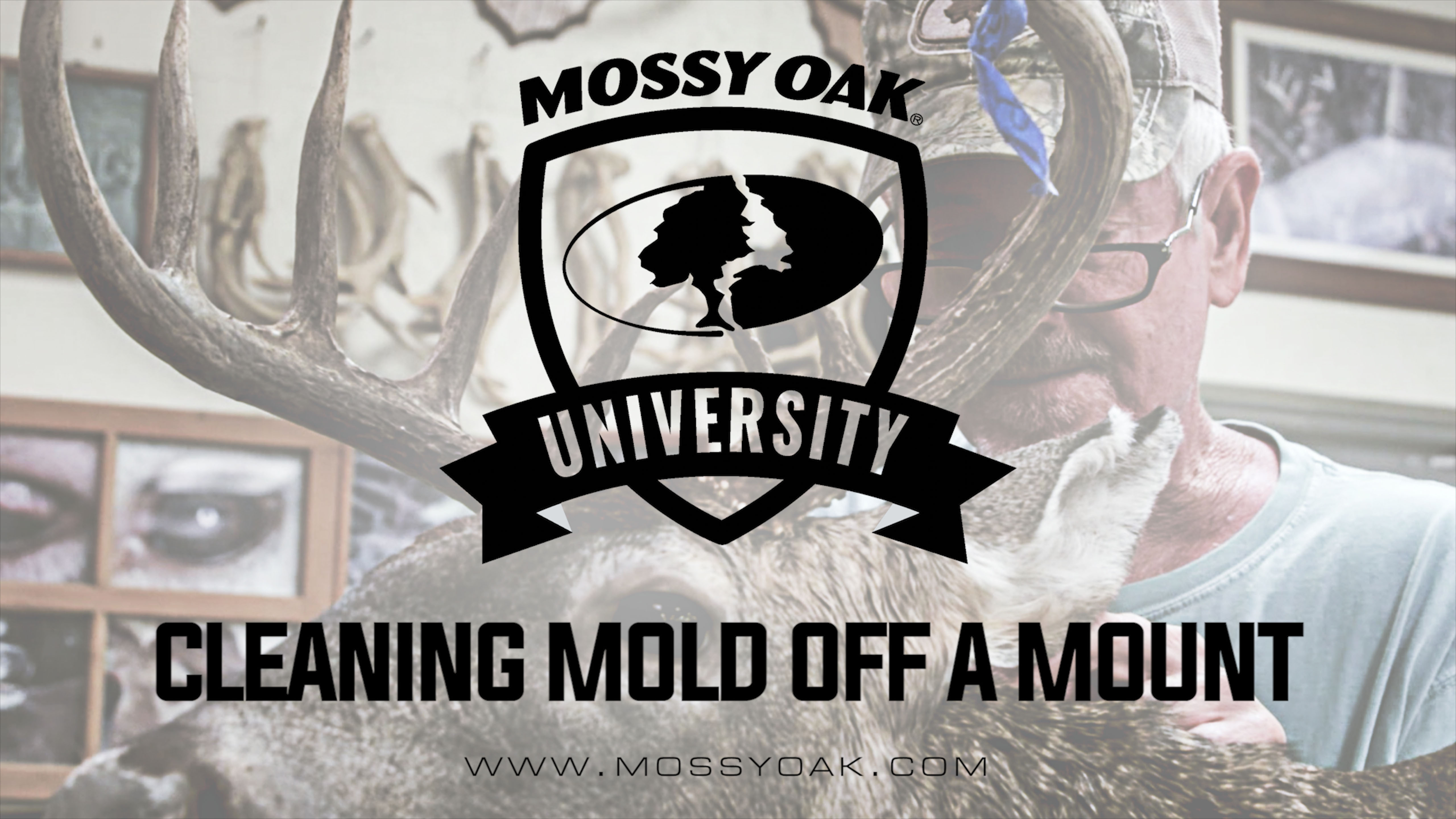 Cleaning Mold Off of a Mount