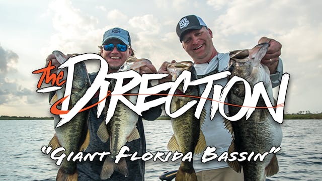 Giant Florida Bassin • The Direction