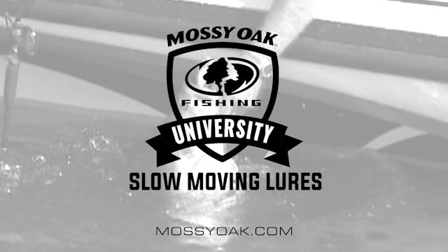 Slow Moving Lures • Fishing Tips with...