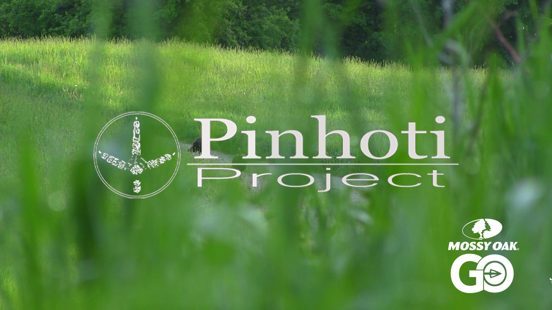 Delayed Double On Maine Gobblers • When Calling Matters • Pinhoti Project Day 73