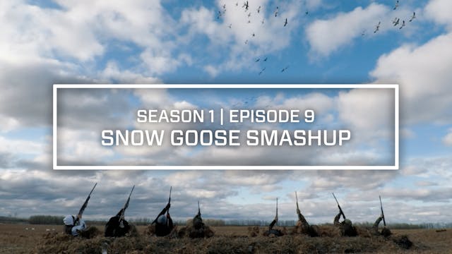 Last Pass Episode 9 • Snow Goose Smashup