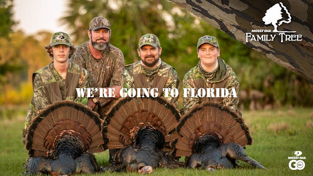 We're Going to Florida • Family Tree