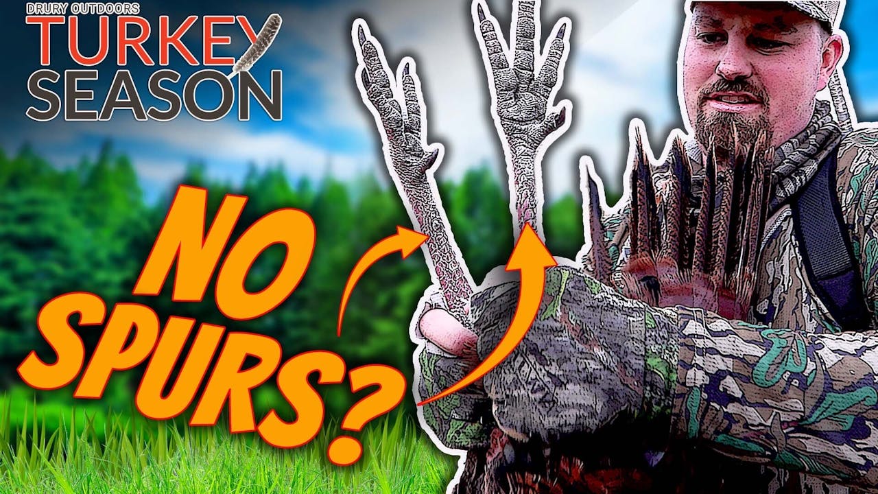 A Missouri Creek Sneak, Perry Tags a Spurless Longbeard Turkey Season 24 Season 5 • Turkey