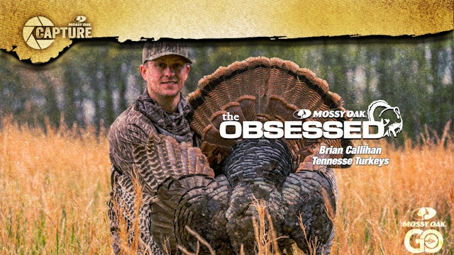 Brian Callihan • Tennessee Turkeys • The Obsessed