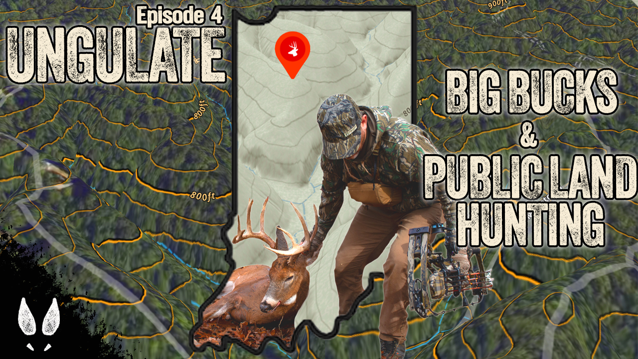 Ungulate Edition 2024 Ep4 • Pinhoti Project