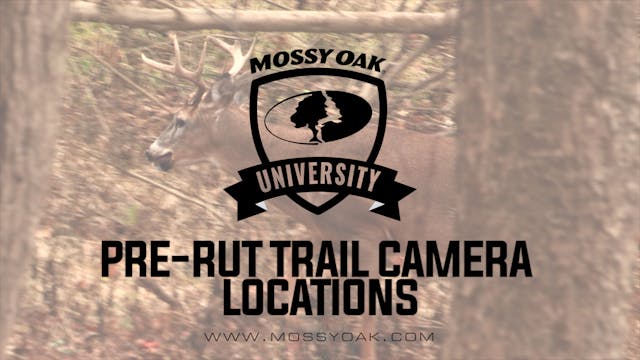 Pre-Rut Trail Camera Locations