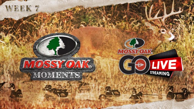 Live: 12.1.2021 Mossy Oak Moments Replay