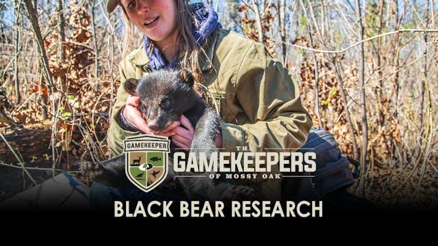 Black Bear Research • Gamekeepers