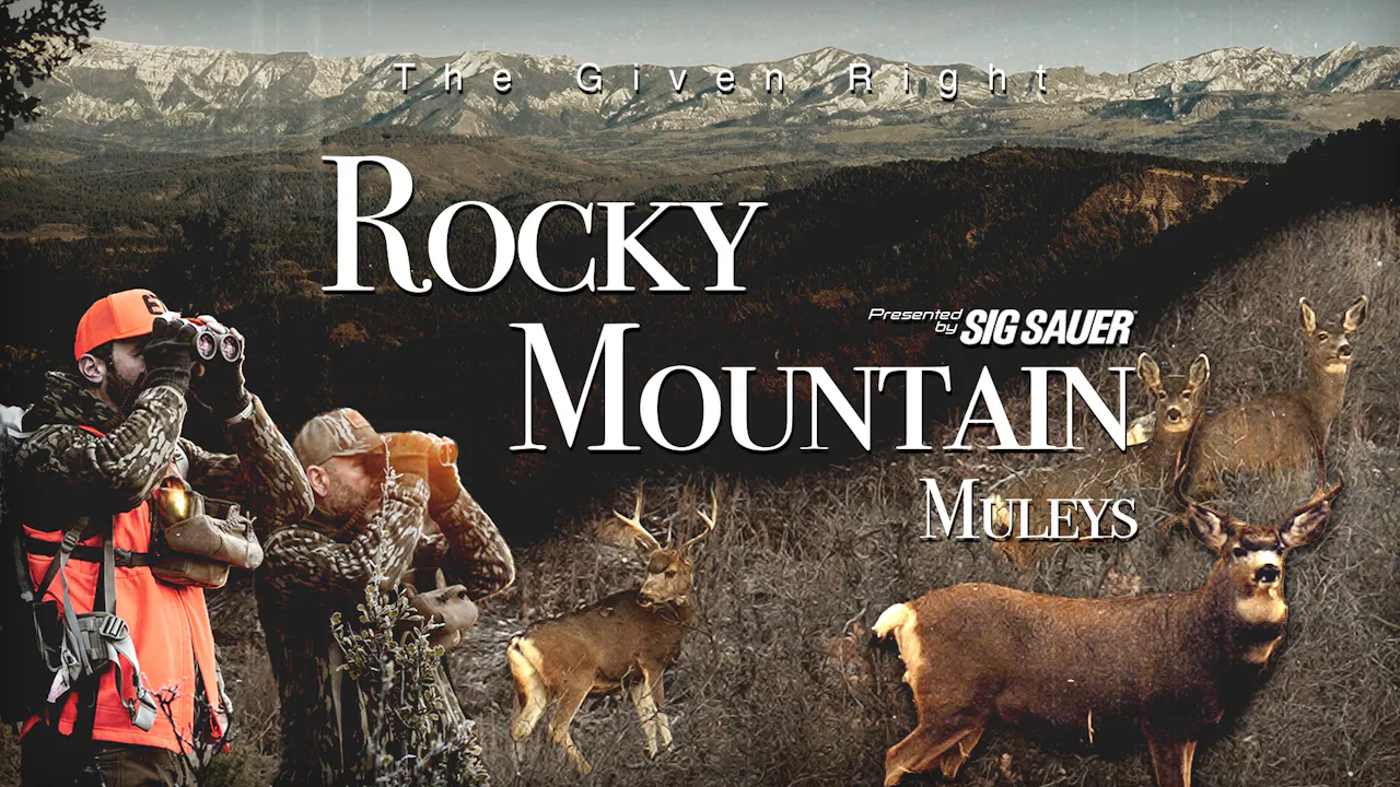 Rocky Mountain Muleys: Presented by Sig Sauer • Behind the Season ...