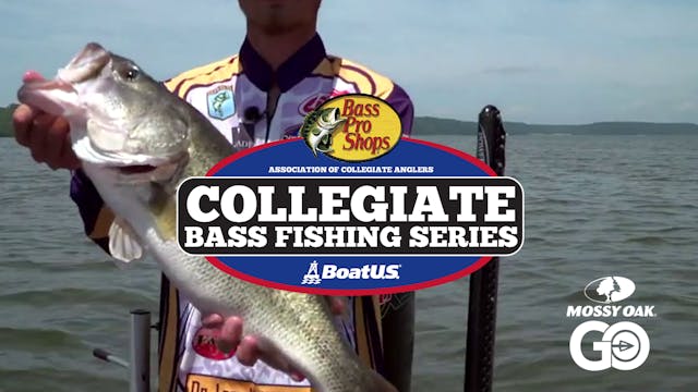 2019 Championship:SOY Preview • Colle...