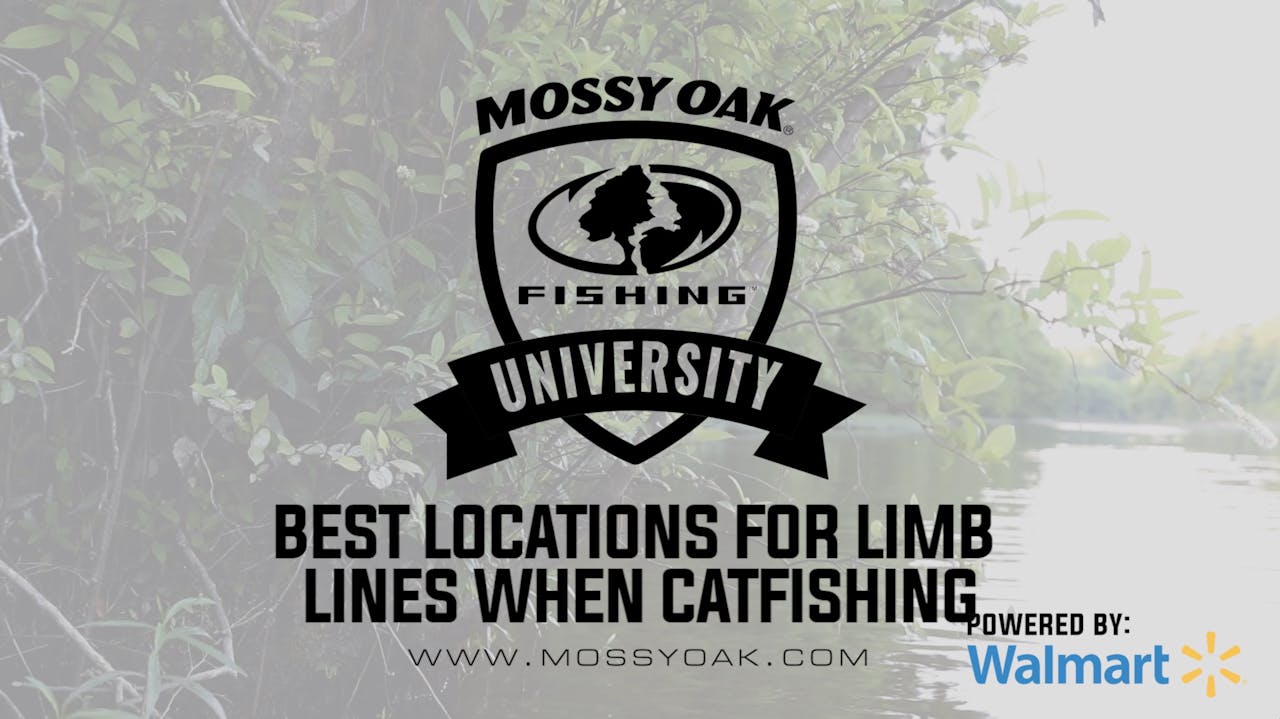 Where To Set Limb Lines for Catfish - Mossy Oak GO