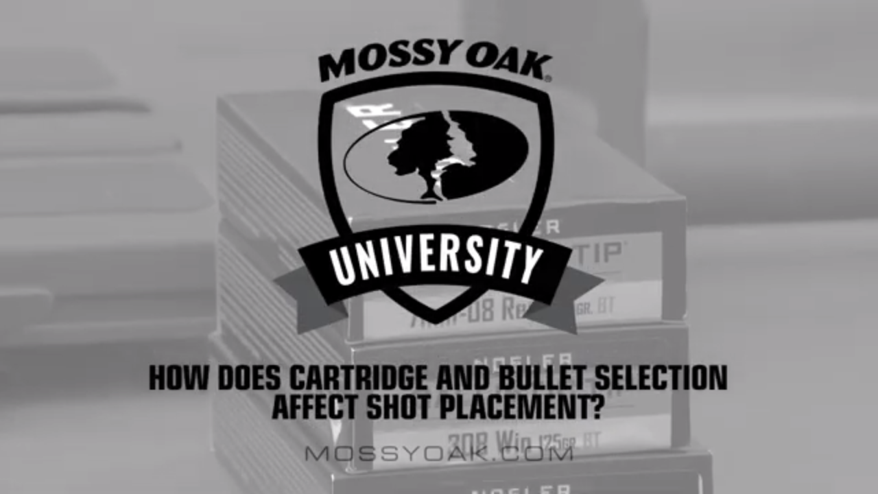 How Bullet & Cartridge Selection Affects Shot Placement