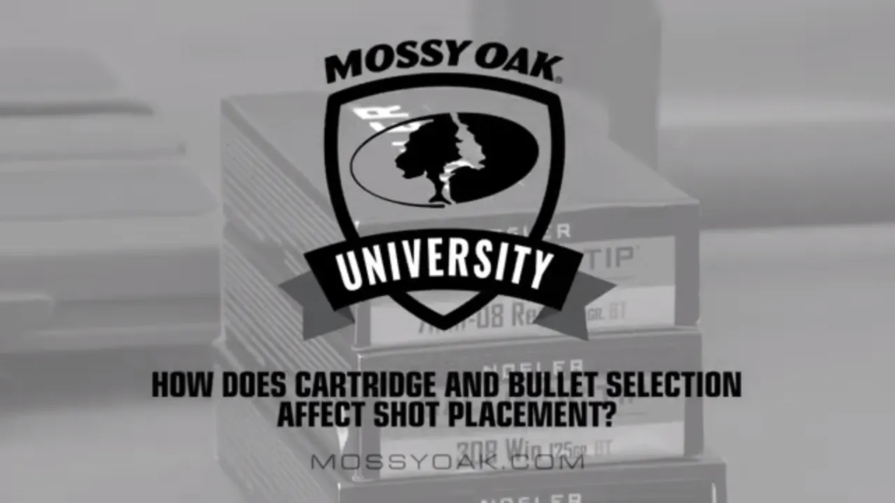 How Bullet & Cartridge Selection Affects Shot Placement - Mossy Oak GO