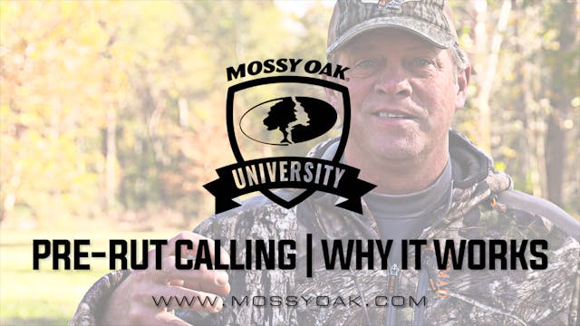 Best Time To Use Deer Calls | Pre-Rut...