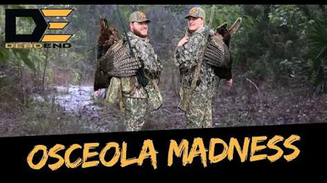 Osceolas EVERYWHERE!!! (3 Bird Day) •...