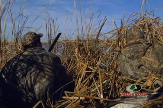 Hide and Peek • Delta Waterfowl Hunts Ducks and Geese in Canada