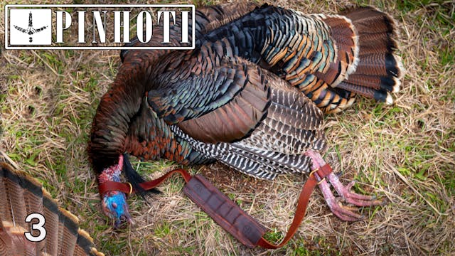 Pinhoti 2021 Ep 3 • Pinhoti Project