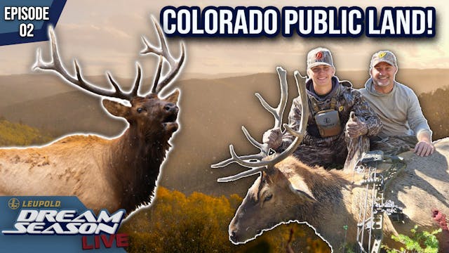 Chasing Bull Elk On Colorado Public L...