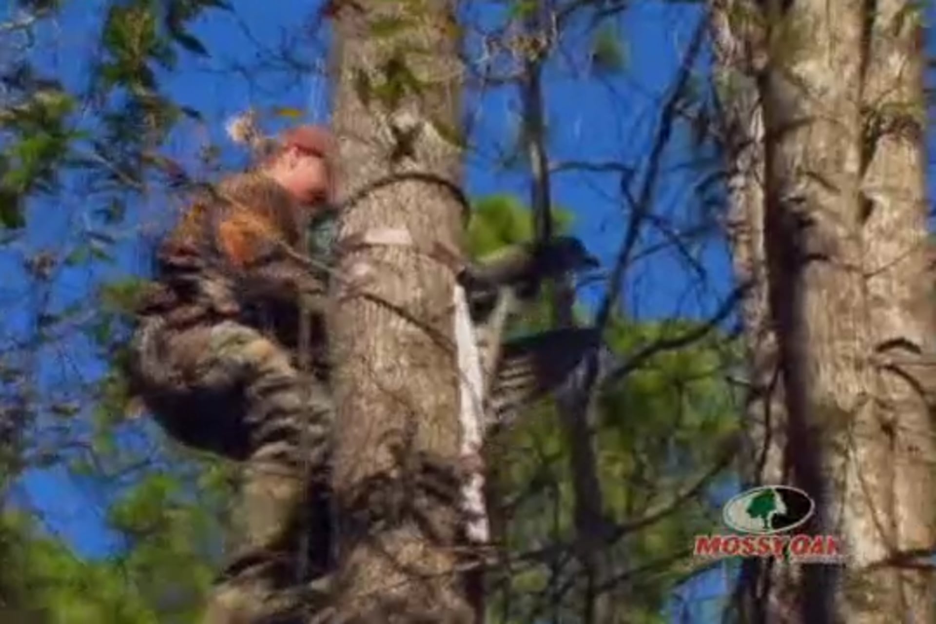 A Good Moon • Camo Cameras Video Themselves Hunting