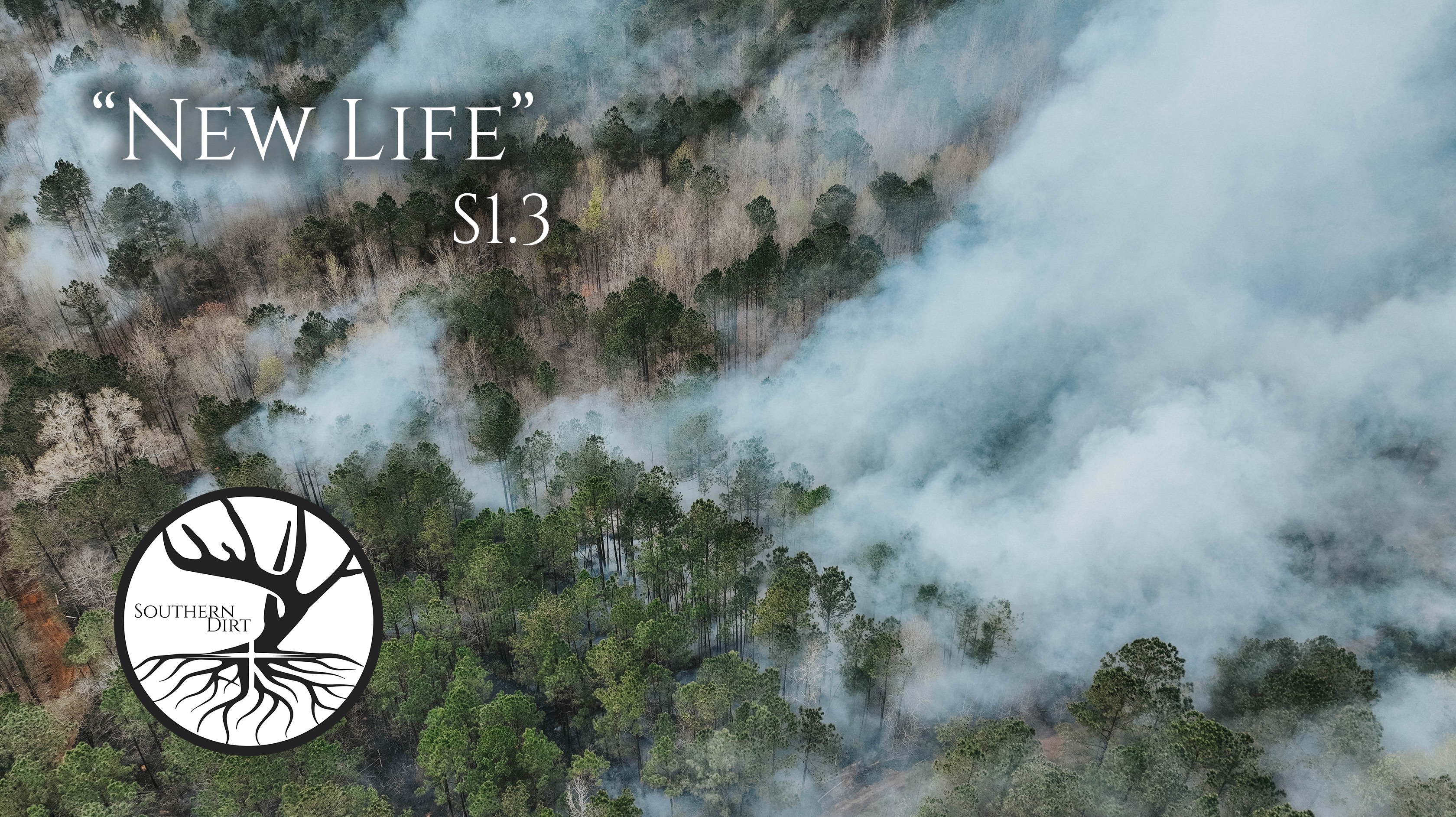 New Life • Southern Dirt