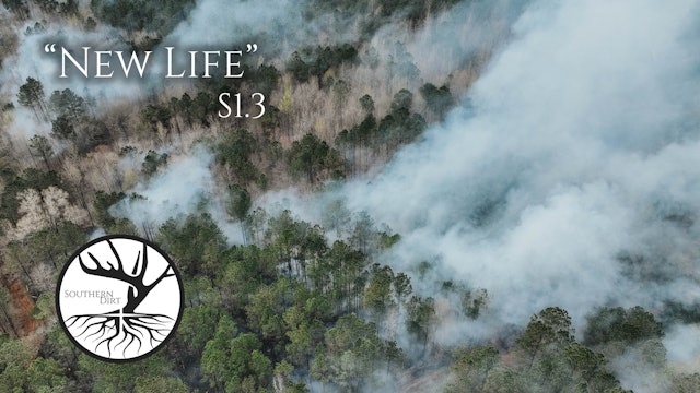 New Life • Southern Dirt