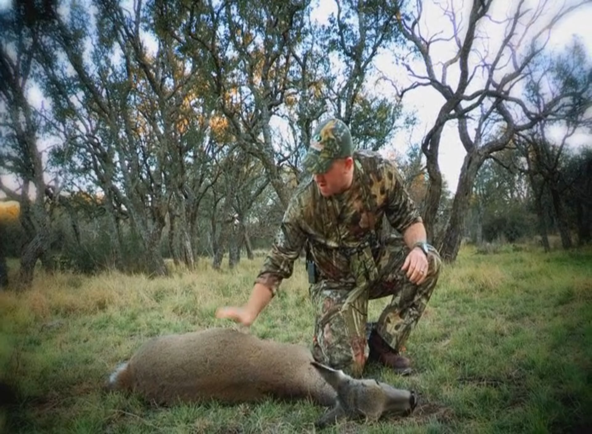 Our Land, Part 2 • Whitetails in Texas