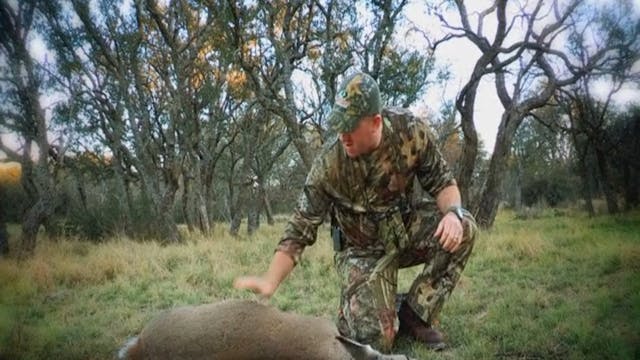 Our Land, Part 2 • Whitetails in Texas