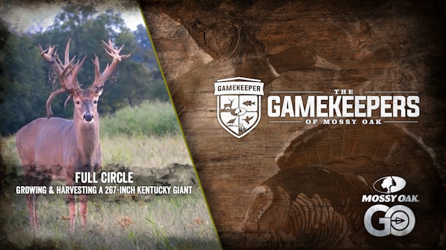 Full Circle • Growing and Harvesting a 267-Inch Kentucky Giant