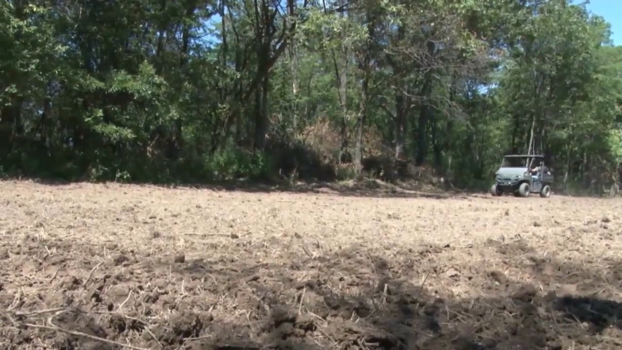 Asking Permission with Mark Drury • 100% Wild Podcast