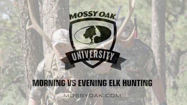 Morning vs Evening Elk Hunting • Mossy Oak University