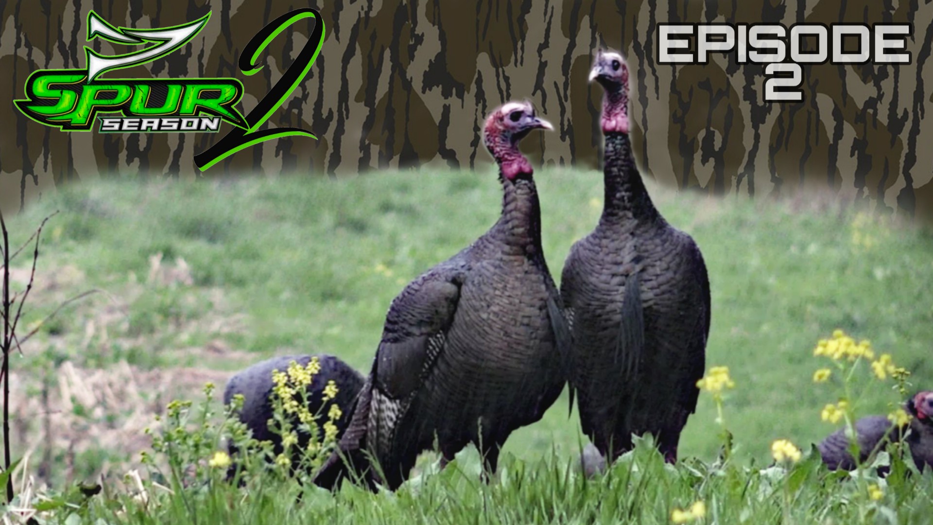 Heaven on Earth • Spur Season