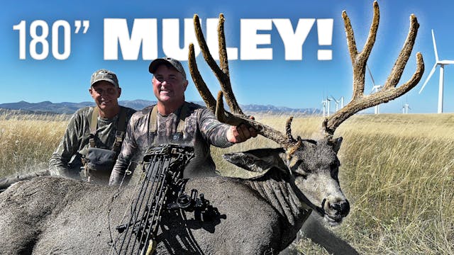 180” Mule Deer Shot in a Quarry | Dre...