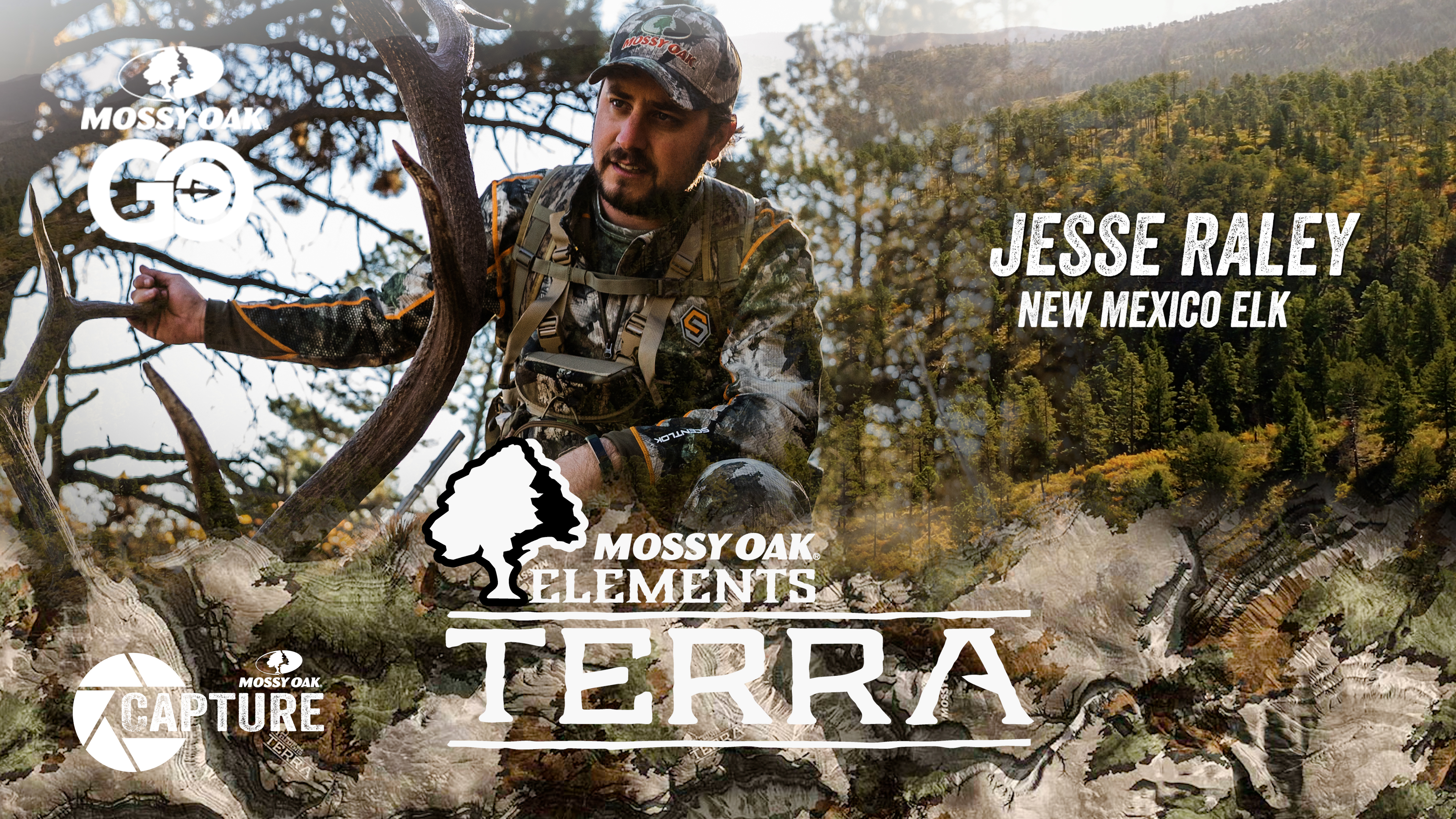 Jesse Raley New Mexico Elk • Terra