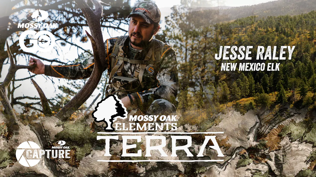 Jesse Raley New Mexico Elk • Terra - Mossy Oak GO