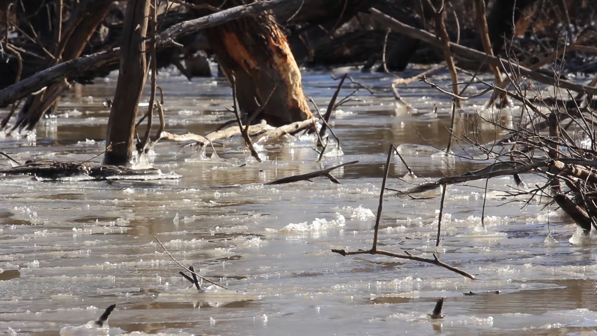 Grand Prairie Public (KS)  • DU TV