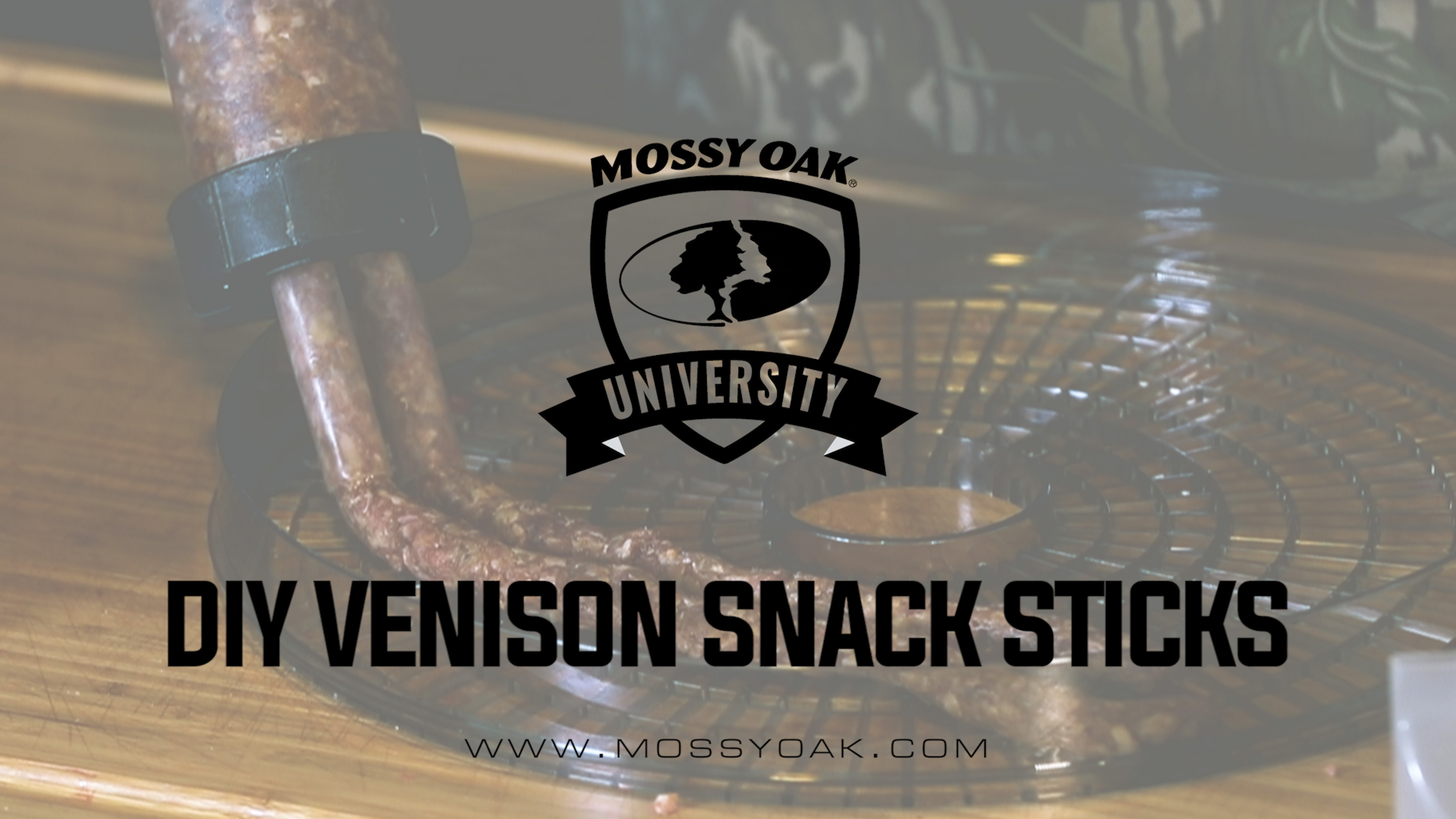 Diy Venison Snack Sticks