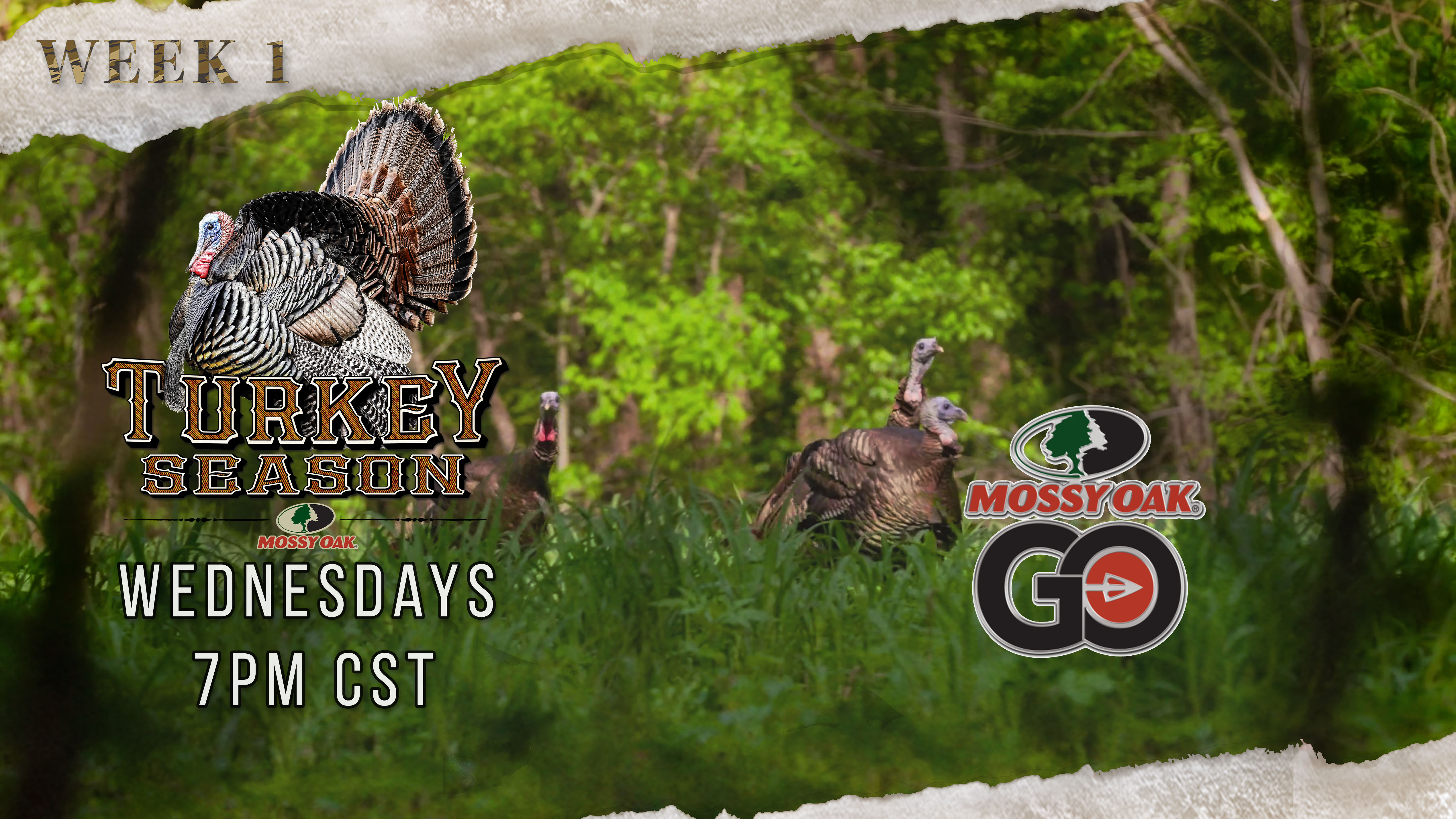 Mossy Oak Moments • Turkey Season 3.1.2023 Replay