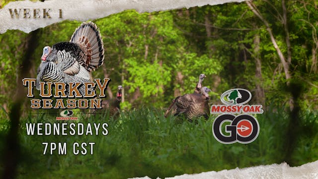 Mossy Oak Moments • Turkey Season 3.1...