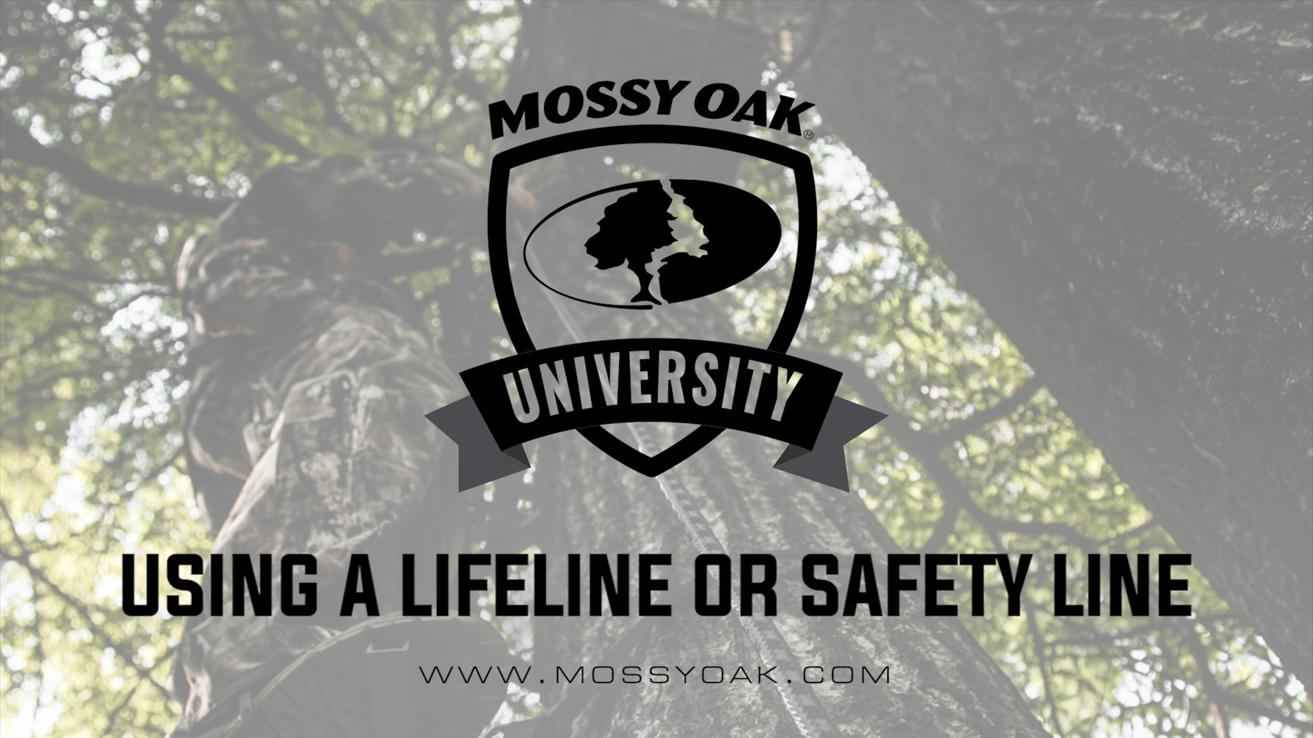 Using a Lifeline or Safety Line