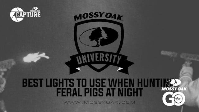 Best Lights To Use For Feral Hog Hunt...