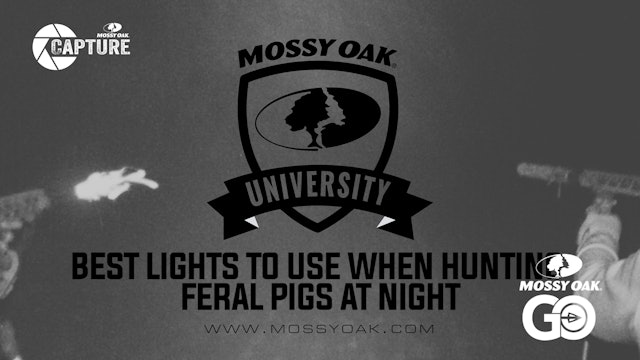 Best Lights To Use For Feral Hog Hunting.Mp4