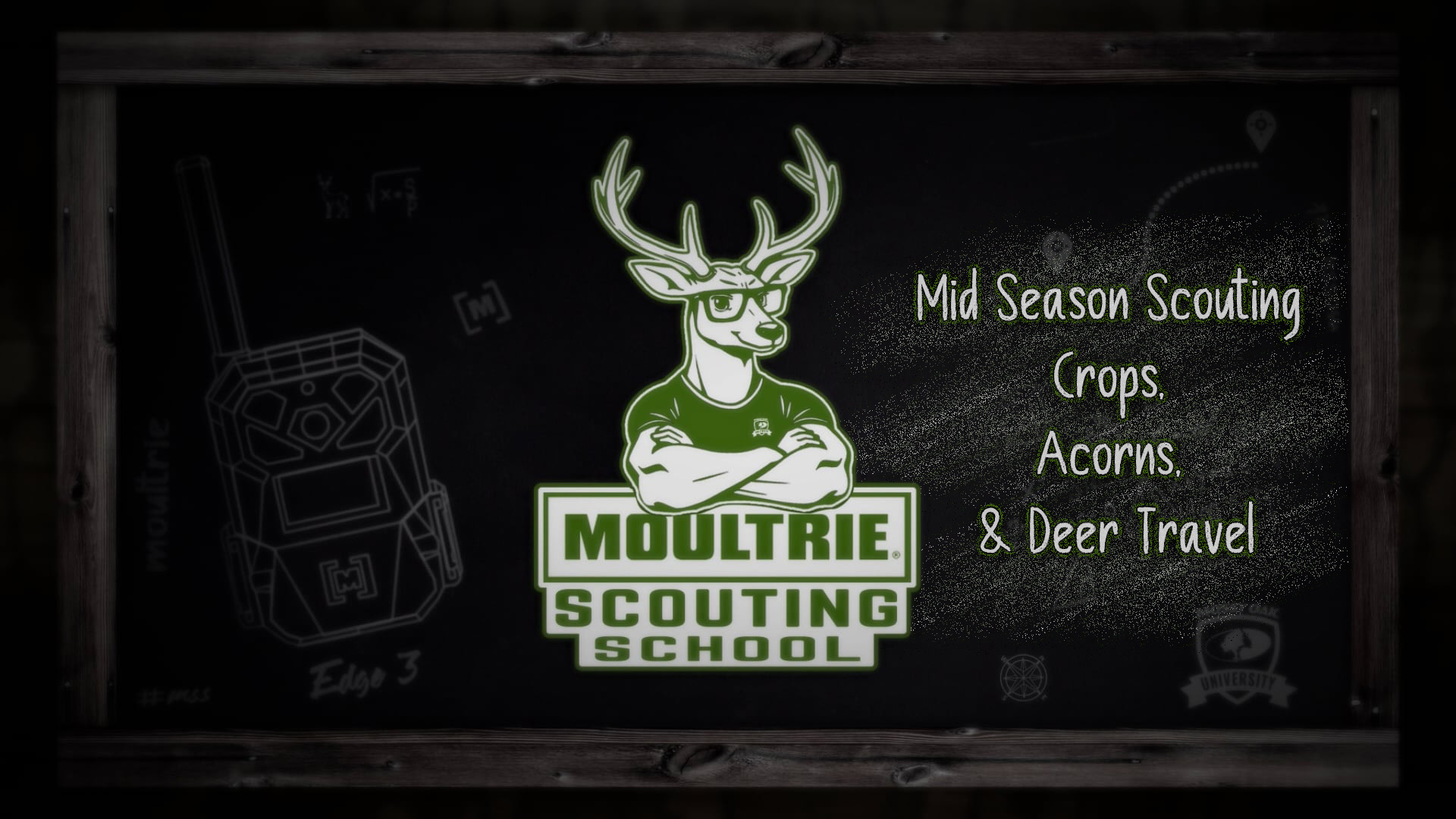 Mid Season Scouting • Crops, Acorns & Deer Travel • Moultrie Scouting School