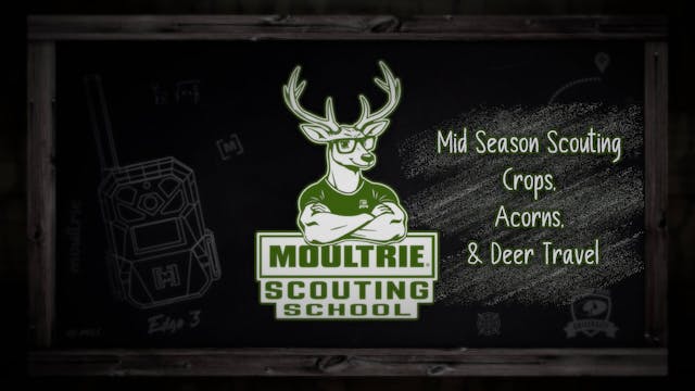 Mid Season Scouting • Crops, Acorns &...
